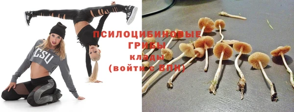 стафф Волосово