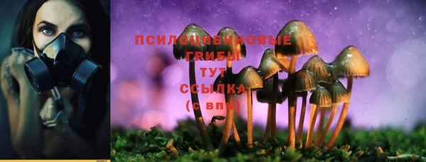 дживик Володарск
