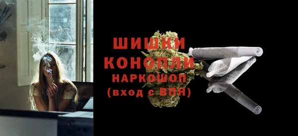 дживик Володарск