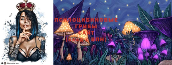 дживик Володарск
