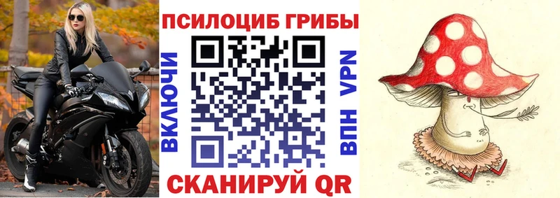 Псилоцибиновые грибы GOLDEN TEACHER  Зеленогорск 